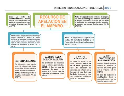 Esquema Del Recuros De Apelacion En El Amparo Derecho Procesal