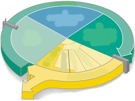 Practical #1 Diagram | Quizlet 