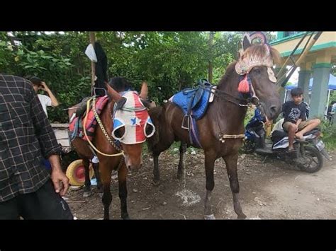 Naik Kuda Di Pasar Minggu Ada Kuda Semua Di Naikin Kuda Laksana Pipis