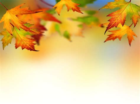 Fall Leaves PowerPoint Background