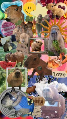 Взгляните на контент Shuffles пользователя daisyw2109 capybara kingdom ...