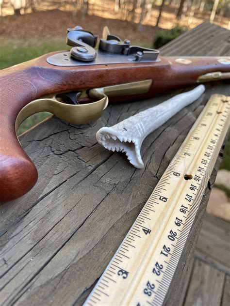 SOLD - Antler powder measure #7 | The Muzzleloading Forum