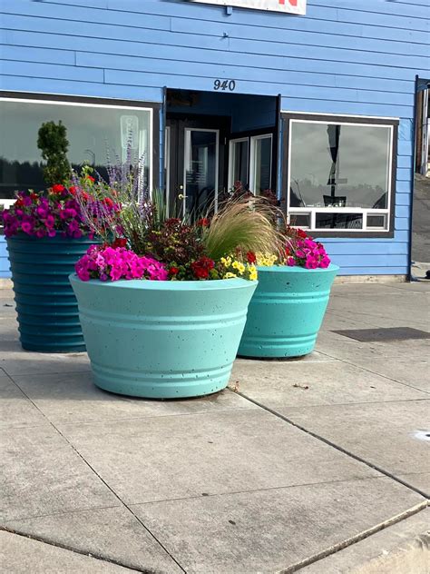 Oak Harbor Garry Oak... - Oak Harbor Garry Oak Society