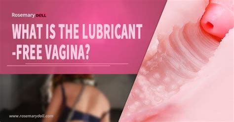 What Is A Lubricant Free Vagina And How To Use It Correctly