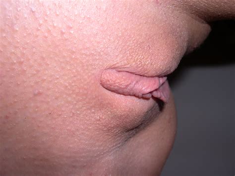 Amateur Hotwife L 239 Porn Pic