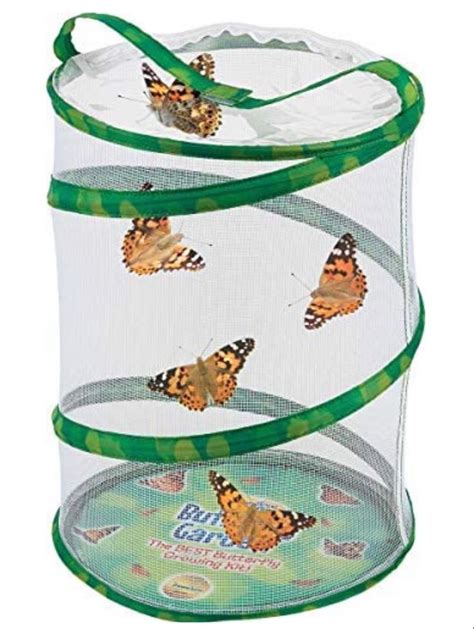 Insect Lore Butterfly Growing Kit Butterfly Habitat Kit With Voucher To Redeem 5