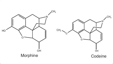 Chemical structure of morphine and codeine | Download Scientific Diagram