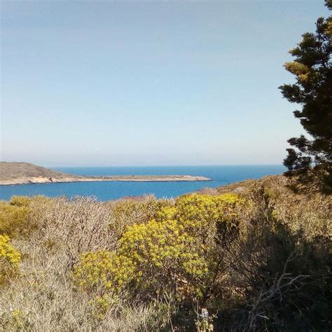 GIANNUTRI: L'ISOLA DELLA LUNA - Escursionismo.it