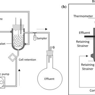 Schemes Of The Bioreactor And Accessory Devices Used In Continuous