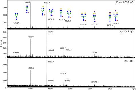 Maldi Tof Ms Analysis Of 2 Ab Labeled N Glycans Of Csf Igg From Control