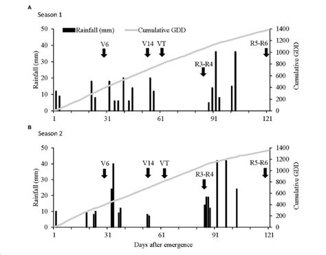 Rainfall Events And Cumulative Growing Degree Days Gdd From To