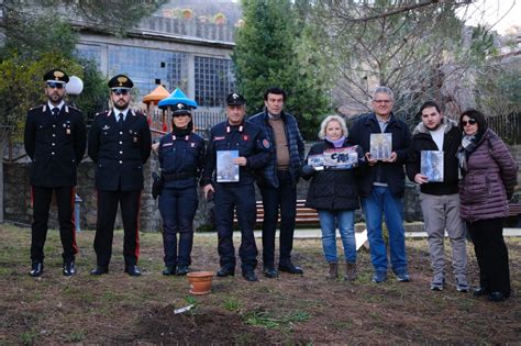 San Piero Patti Piantata Una Talea Dell Albero Di Falcone Un Albero