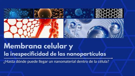 Membrana Celular Inespecificidad Nanopart Culas Gabriel Eduardo Barua