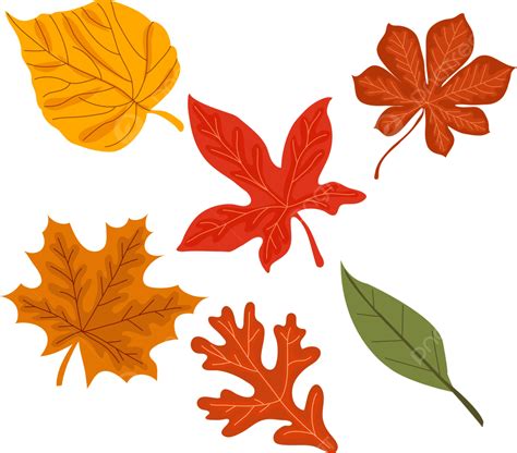 Cute Autumn Leaves Vector, Autumn, Leaf, Fall PNG and Vector with ...