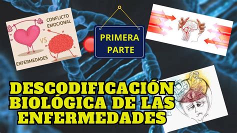 Descodificaci N Biol Gica De Las Enfermedades Primera Parte Youtube