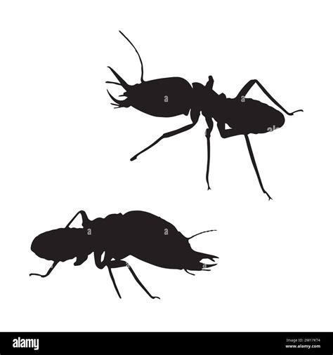 Vector Illustration Of Termite Art Silhouette Stock Vector Image Art