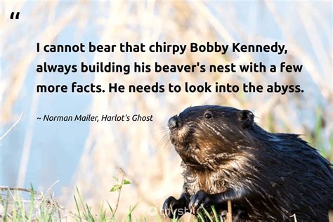 12 Beaver Quotes to Unleash Your Industrious Self