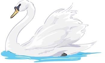 Swan lake clipart 20 free Cliparts | Download images on Clipground 2024