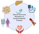 Steroid Hormone Receptors In Cardiometabolic Disease Frontiers