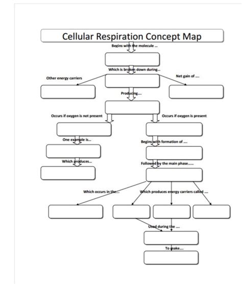 Cellular Respiration Concept Map Answers Map Vector