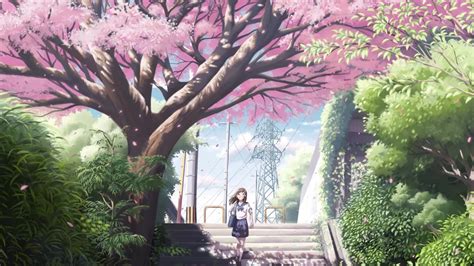 Anime Trees Pink Wallpapers Wallpaper Cave