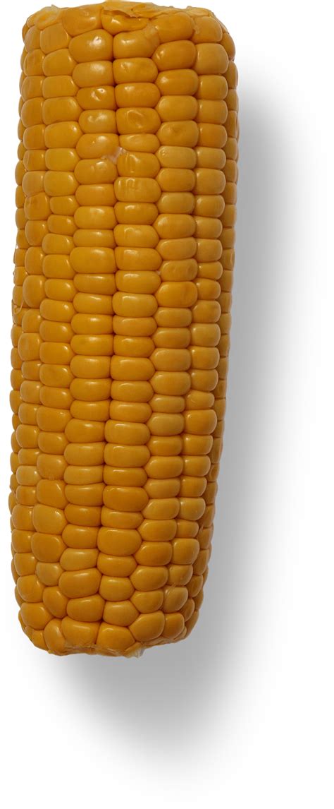 Corn Cob