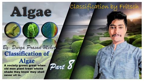 Classification Of Algae By Fritsch Fritschclassification Alga