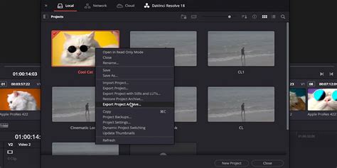 C Mo Exportar V Deos Desde Davinci Resolve Masv