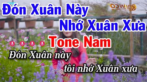 Karaoke N Xu N N Y Nh Xu N X A Tone Nam Nh C Xu N M I Youtube