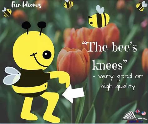 "The Bee's Knees" - another fun English idiom