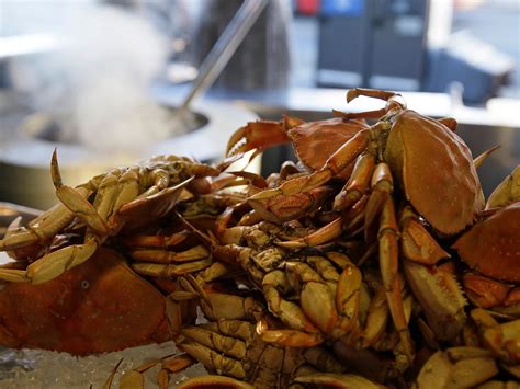 Billions of snow crabs have disappeared from Alaska waters - News and ...