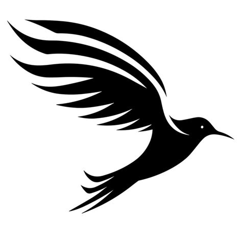 Black Bird Wings Spread