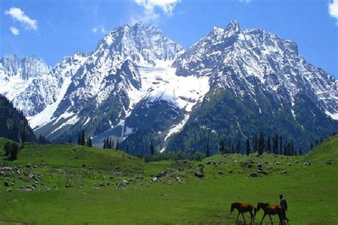 5 tägige Tour durchs Kaschmir Tal ab Srinagar zur Verfügung gestellt