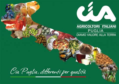 Agricoltura Puglia Battaglia Per Il Grano Made In Italy