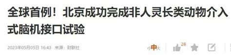 潘露史徒堂（蒙恩罪人） On Twitter 翘首以待，等来文革和动物庄园。。。