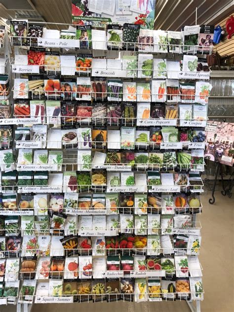 SEEDS, SEEDS, SEEDS - Western Garden Centers