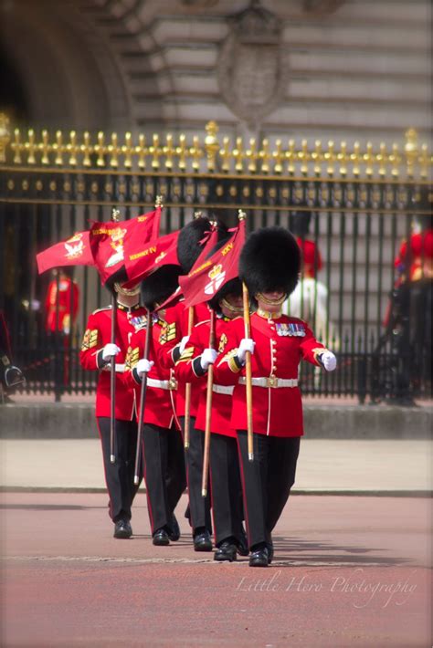 Buckingham Palace Guards | Royal guard, Buckingham palace, Coldstream ...