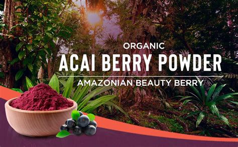 mysuperfoods organic acai berry powder  natural source
