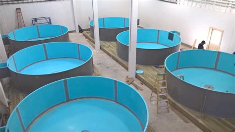 Aquaculture Systems and Equipment for the Global Industry | Global ...