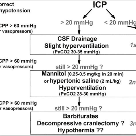 Diagrammatic Illustration Of Pathophysiology Of Increased Intracranial Download Scientific