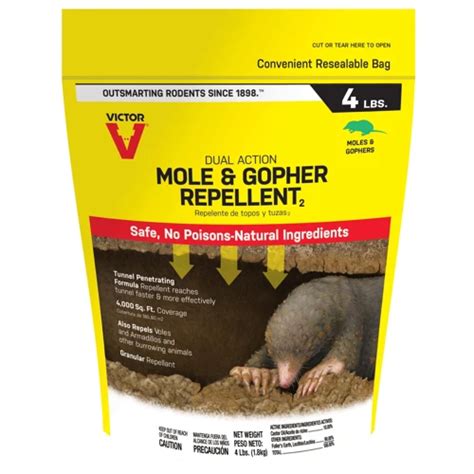 How to Install and Maintain Electronic Mole Repellents