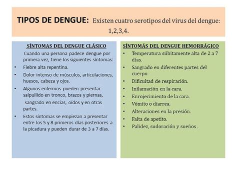 Clases De Dengue Y Definicion De Cada Tipo