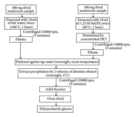 Isolation Of Polysaccharide Glucan Lentinan Like β D Glucan By Hot Download Scientific