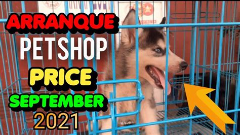 ARRANQUE MARKET PET PRICE SEPTEMBER 2021 BY PEEJAYPARASTV MURANG