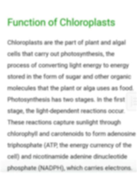 SOLUTION: Structure and functions of chloroplast in plants - Studypool