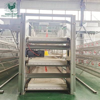 Automatic Rearing System Broiler H Type Hot DIP Galvanized Meat Battery