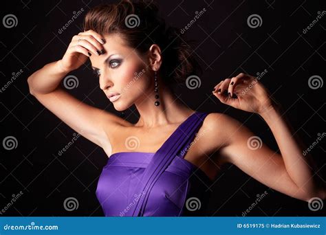 Beautiful And Brunette Fashion Girl Stock Image Image Of Posing Person 6519175