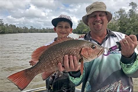 Summer is the time for catching mangrove jack - Bush 'n Beach Fishing