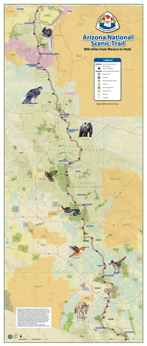 The Arizona Trail Map - Peggi Birgitta