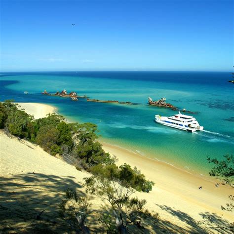 Moreton Island Atualizado 2022 O Que Saber Antes De Ir Sobre O Que